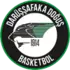 Darussafaka Dogus